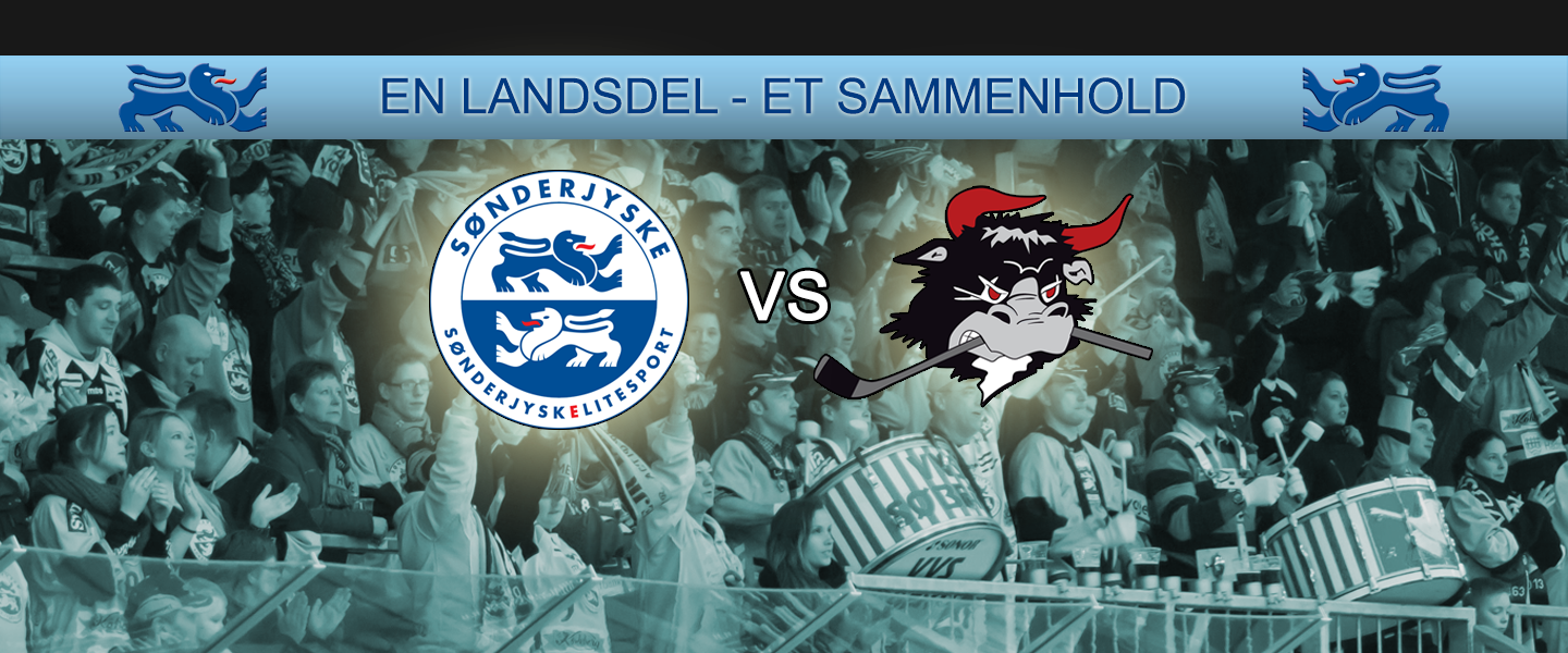 VIP ishockey for Mandehørm gruppen