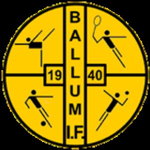 Gallerielement 1