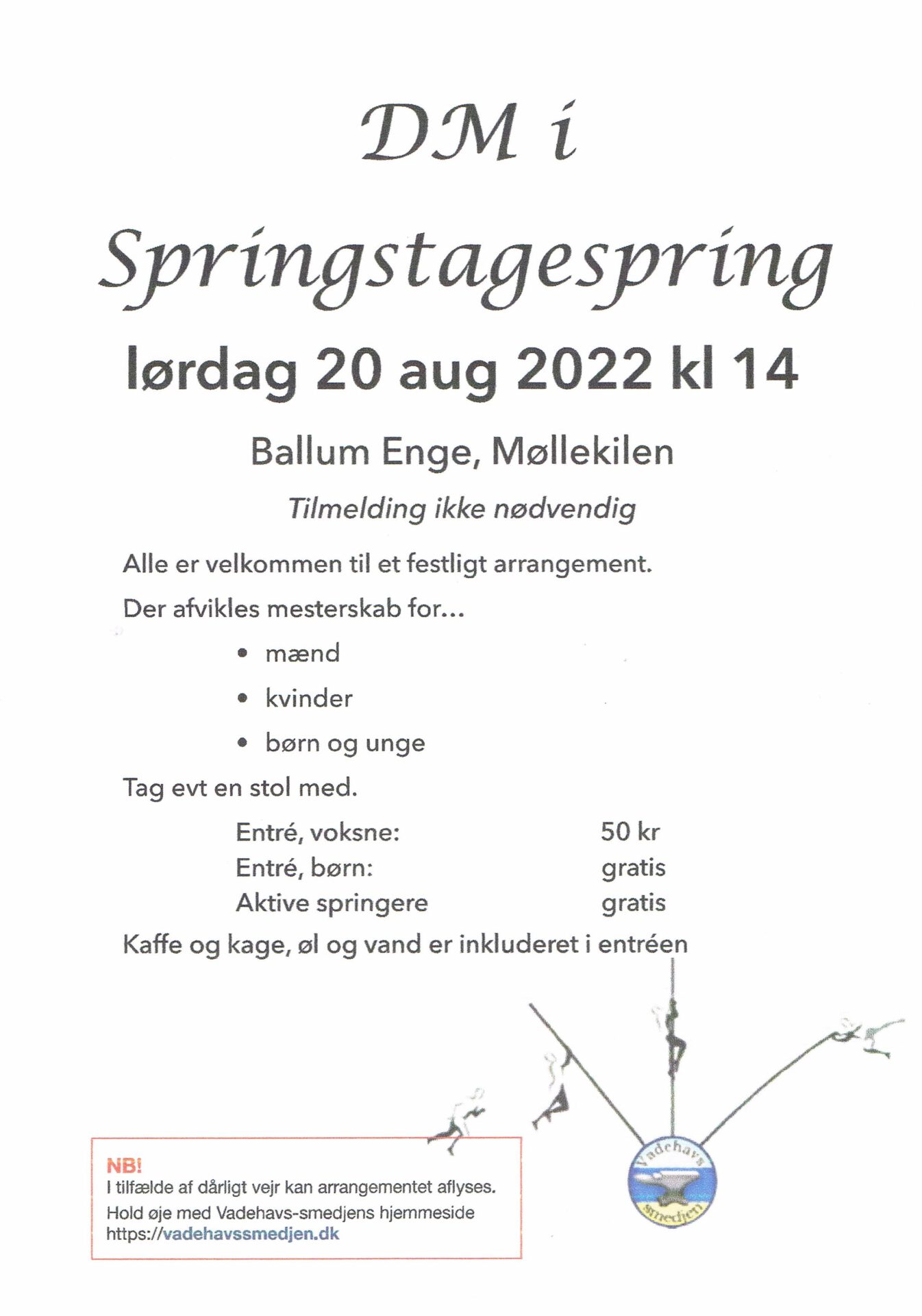 DM i Springstagespring