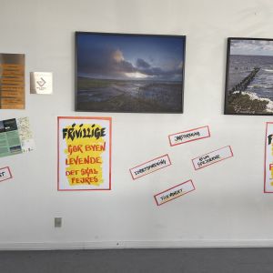 Gallerielement 6